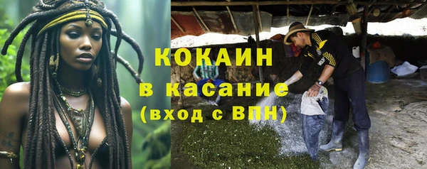 дживик Верея