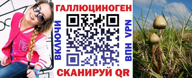 Псилоцибиновые грибы GOLDEN TEACHER  Лобня 